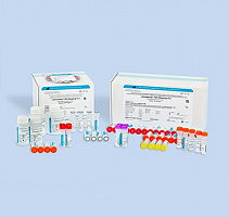 HCV-Монитор-FL