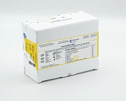 ГерпесИФА-2IgG