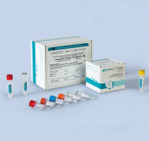 Dengue virus type-FL. Выявление и дифференциация вируса денге (Dengue virus, DV) 1–4-го типов