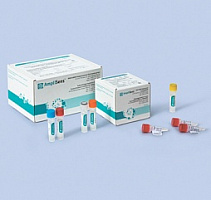 Parvovirus B19-FL