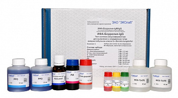 ИФА-Лайм-боррелиоз-IgG