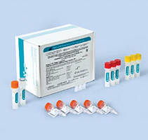 Influenza virus A H5N1-FL. Выявление вируса гриппа А и идентификация субтипа H5N1